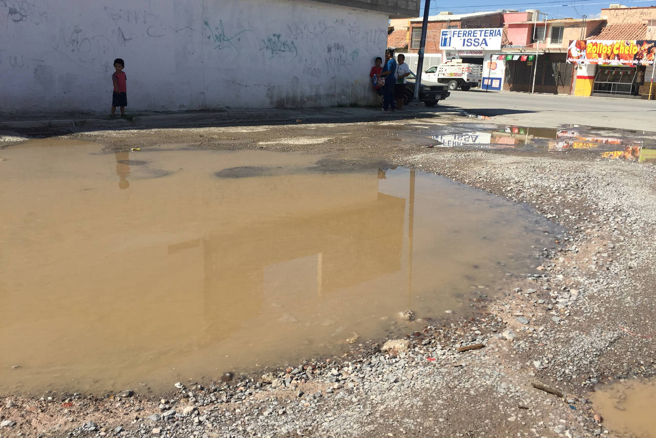 'Nacen albercas'. En la avenida de las Las Joyas y Sección 38, de la colonia Residencial del Norte, de Torreón, las lluvias y una fuga de agua, destrozaron parte del pavimento.