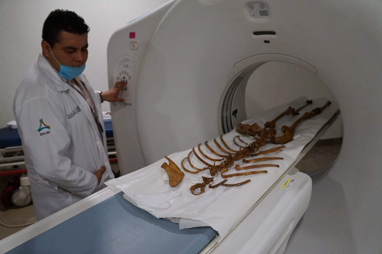 Naia, cuyo descubrimiento fue anunciado en 2014, se hizo célebre como el esqueleto humano más antiguo, completo y genéticamente intacto hallado en el continente americano. (ARCHIVO)