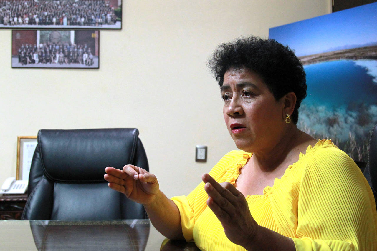 Señala. Mary Telma Guajardo mencionó que al PRD le ha faltado acercarse a la gente. (ARCHIVO)