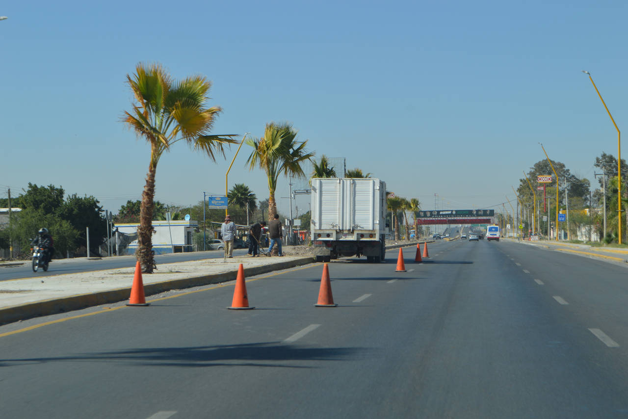 Mejoras. La carretera Torreón-Matamoros ya tiene nueva vegetación en su camellón central, a la altura del ejido San Miguel. (EL SIGLO DE TORREÓN/ROBERTO ITURRIAGA)