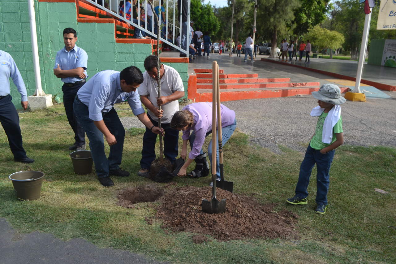 Señaló que en los cuatro años de administración municipal se donaron y plantaron 342 mil 95 árboles y plantas de ornato, la gran mayoría en el primer año. (ARCHIVO)