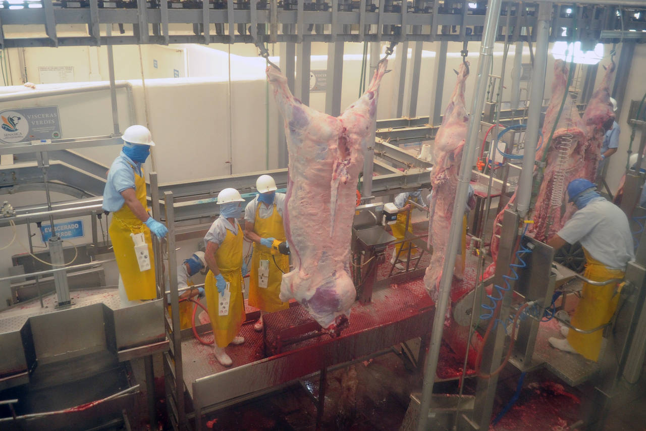 Bovinos. Evaluarán el proyecto de Intergan para conocer las opciones de importar carne de La Laguna. (ARCHIVO)