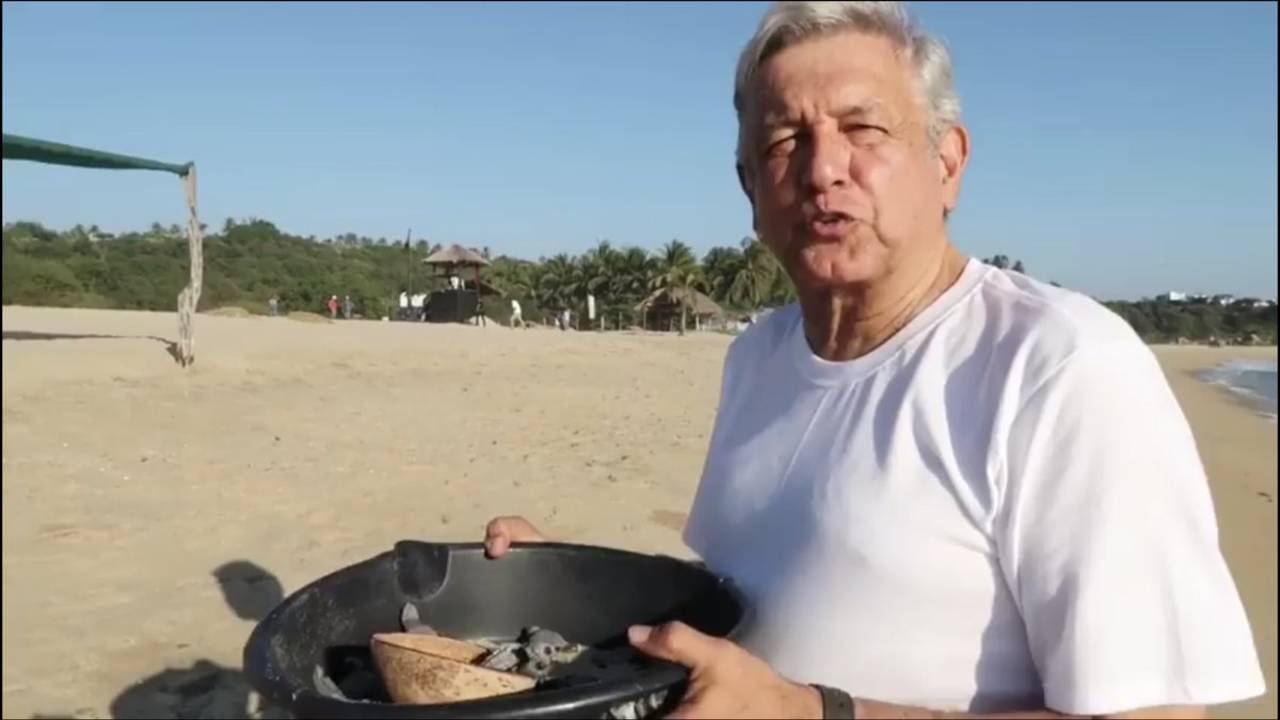 Mensaje. Andrés Manuel López Obrador se dio tiempo para liberar unas tortugas en una playa de Oaxaca. (TWITTER)