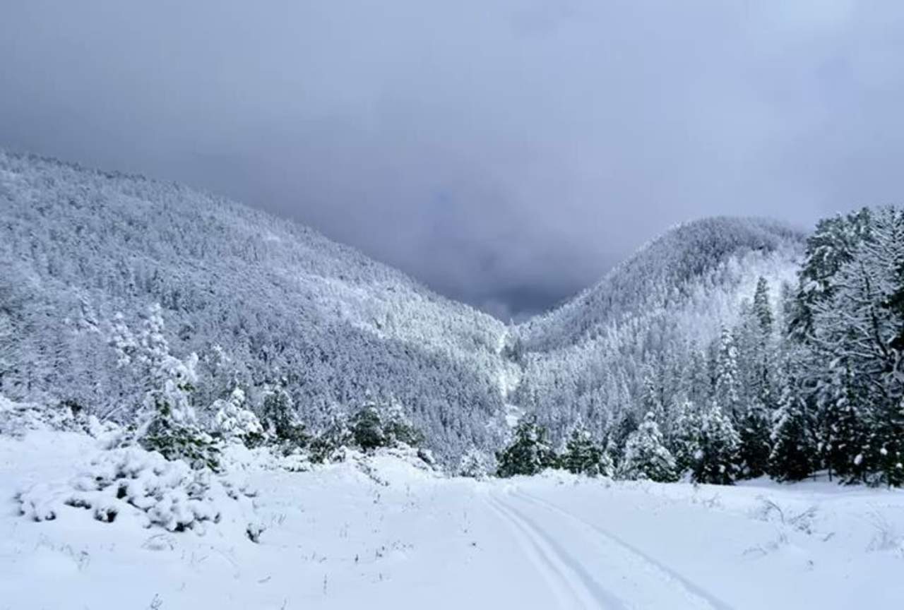 La sierra de Arteaga reportó en mucho mayor cantidad la presencia de nieve, así como una temperatura de menos 8 grados centígrados. (TWITTER)