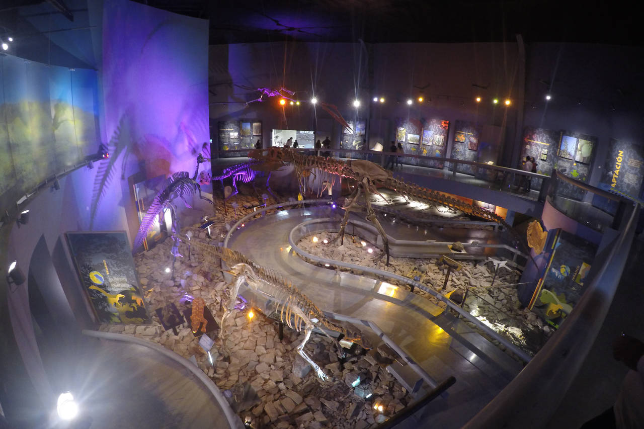 En Saltillo. El Museo del Desierto alberga la exhibición de fósiles de dinosaurios de la región. 