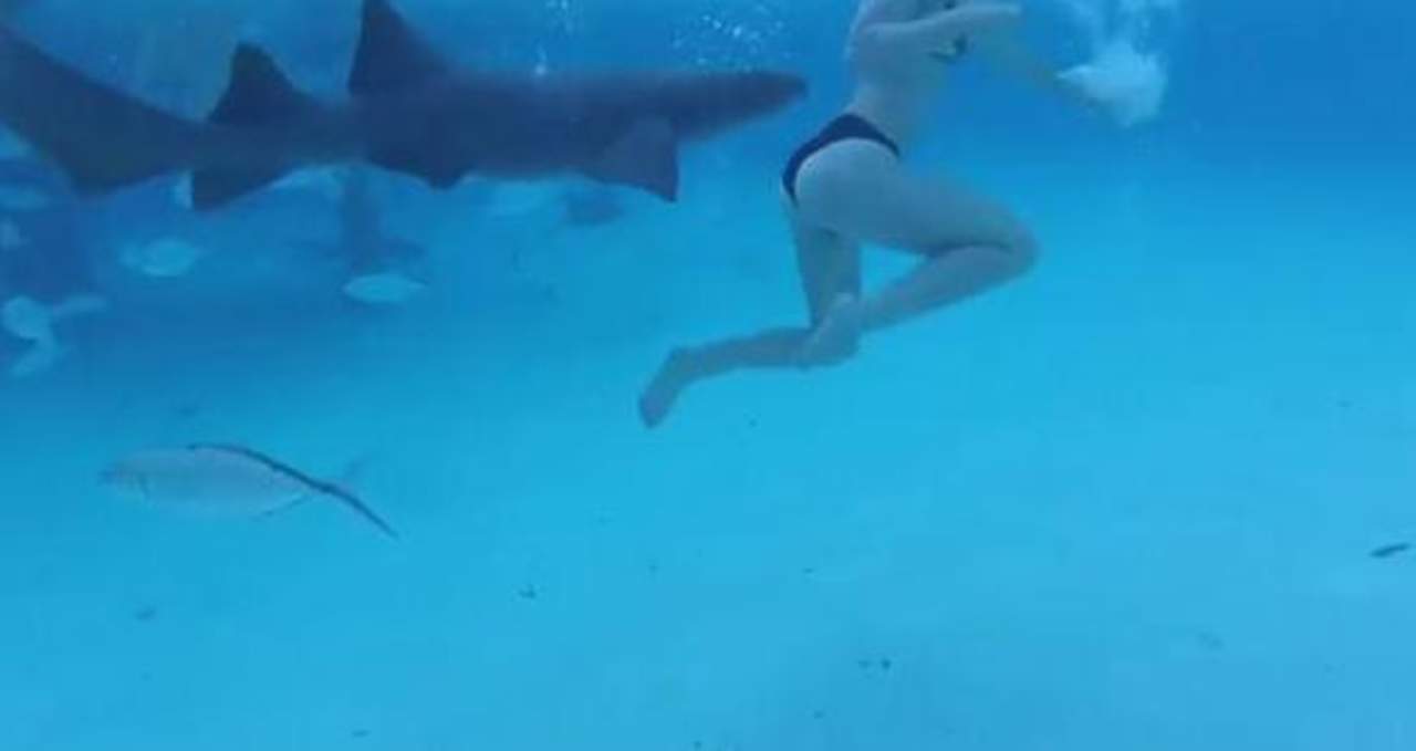 VIDEO: Mujer es atacada por un tiburón