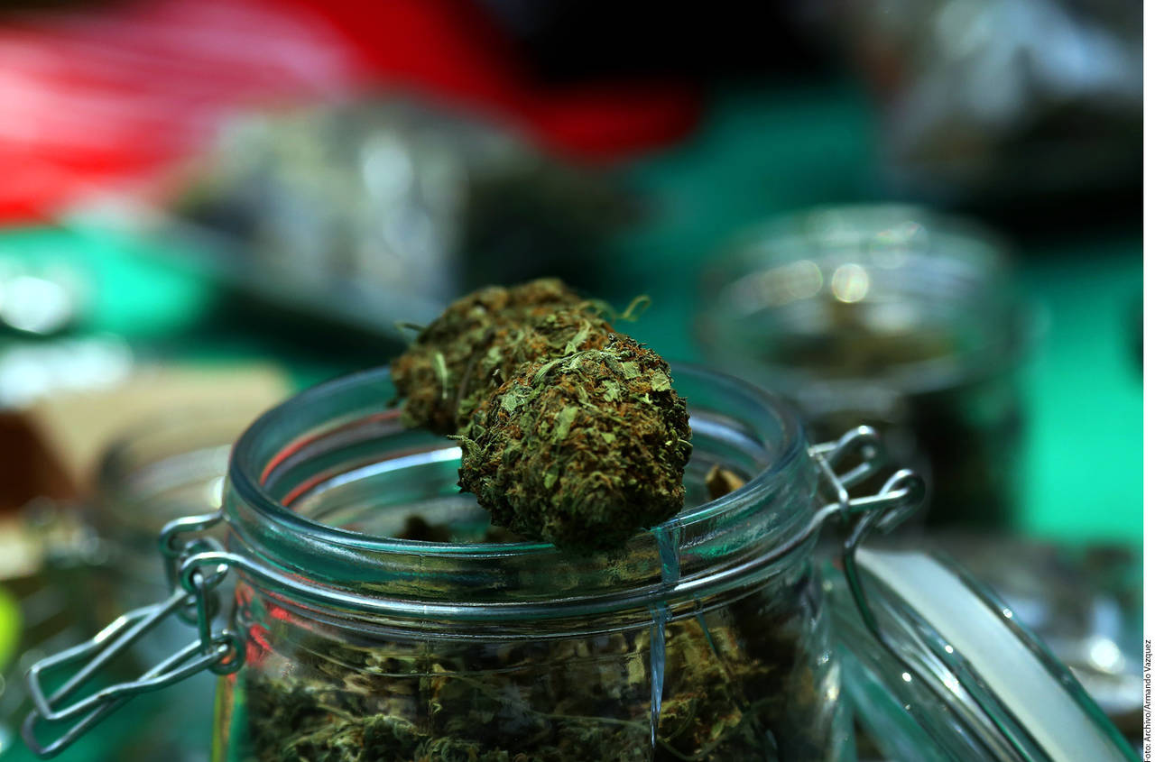 Diálogo. Diversas organizaciones civiles buscan que las autoridades permitan el autocultivo de marihuana de uso medicinal.