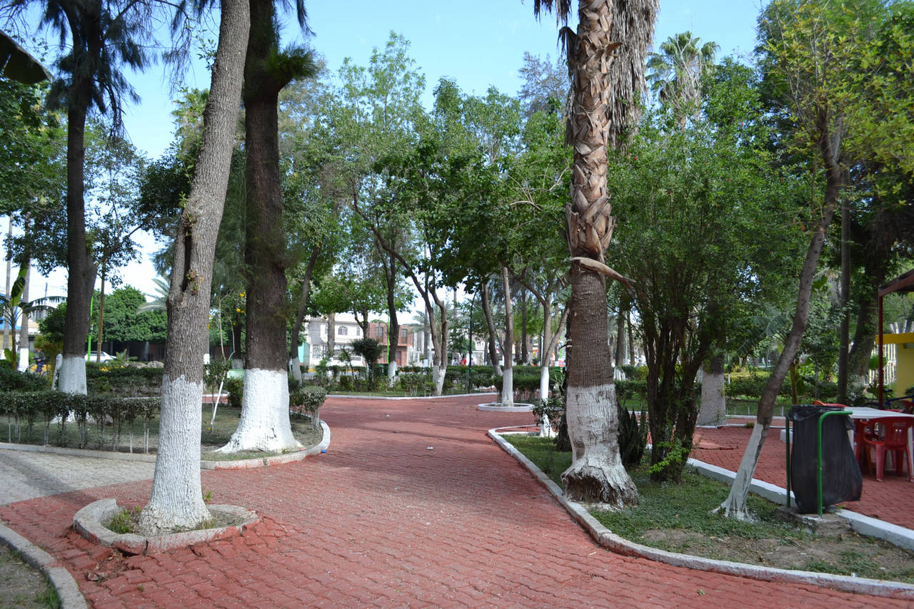 Paseos. Los municipios cuentan con diferentes sitios para convivir en familia; el Parque Morelos de Gómez Palacio, tiene áreas verdes y cuenta con una alberca. (EL SIGLO DE TORREÓN/CLAUDIA LANDEROS)
