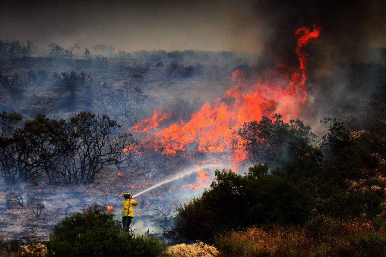 La Secretaría de Medio Ambiente y Recursos Naturales (Semarnat) señaló que las zonas las zonas donde la sequía, los vientos y la altas temperaturas se conjuntan son más propensas a padeder incendios, porque a mayor sequía mayor riesgo. (ARCHIVO)