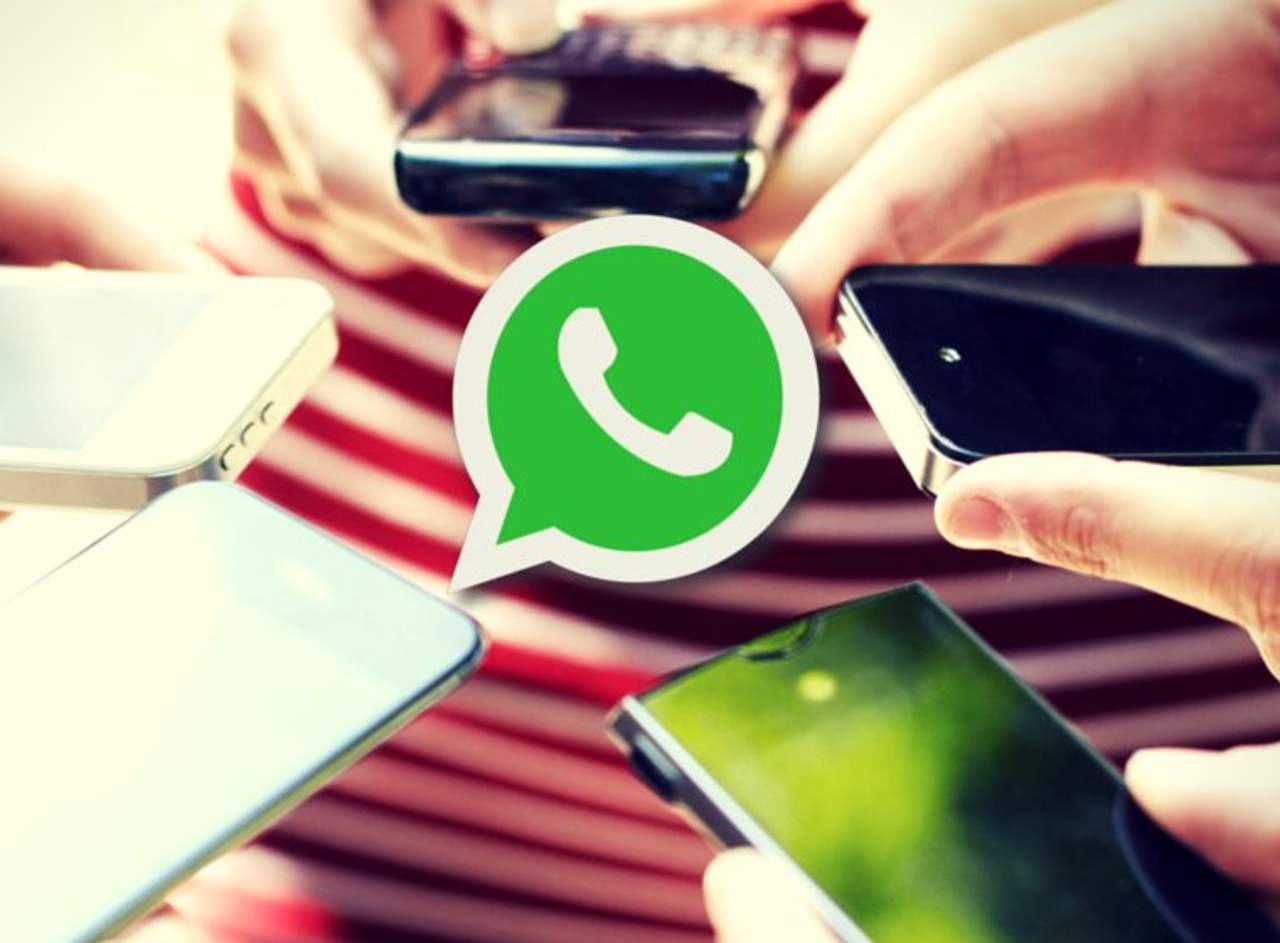 Hay que descargar una aplicación llamada ‘Profile Tracker for WhatsApp’. (INTERNET)