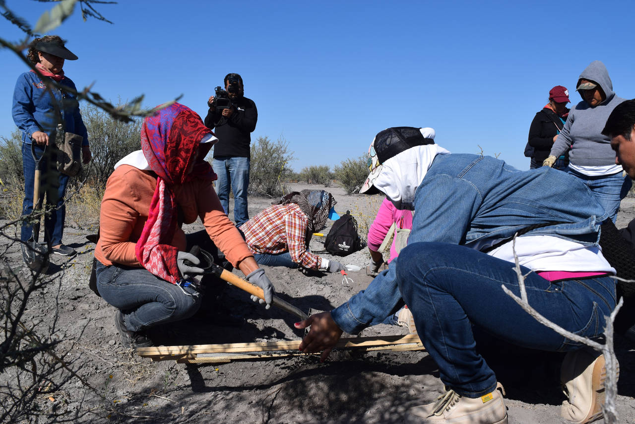 Trabajo. Ayer, grupo Vida reinició los trabajos de búsqueda de sus desaparecidos en Matamoros. (ARCHIVO)