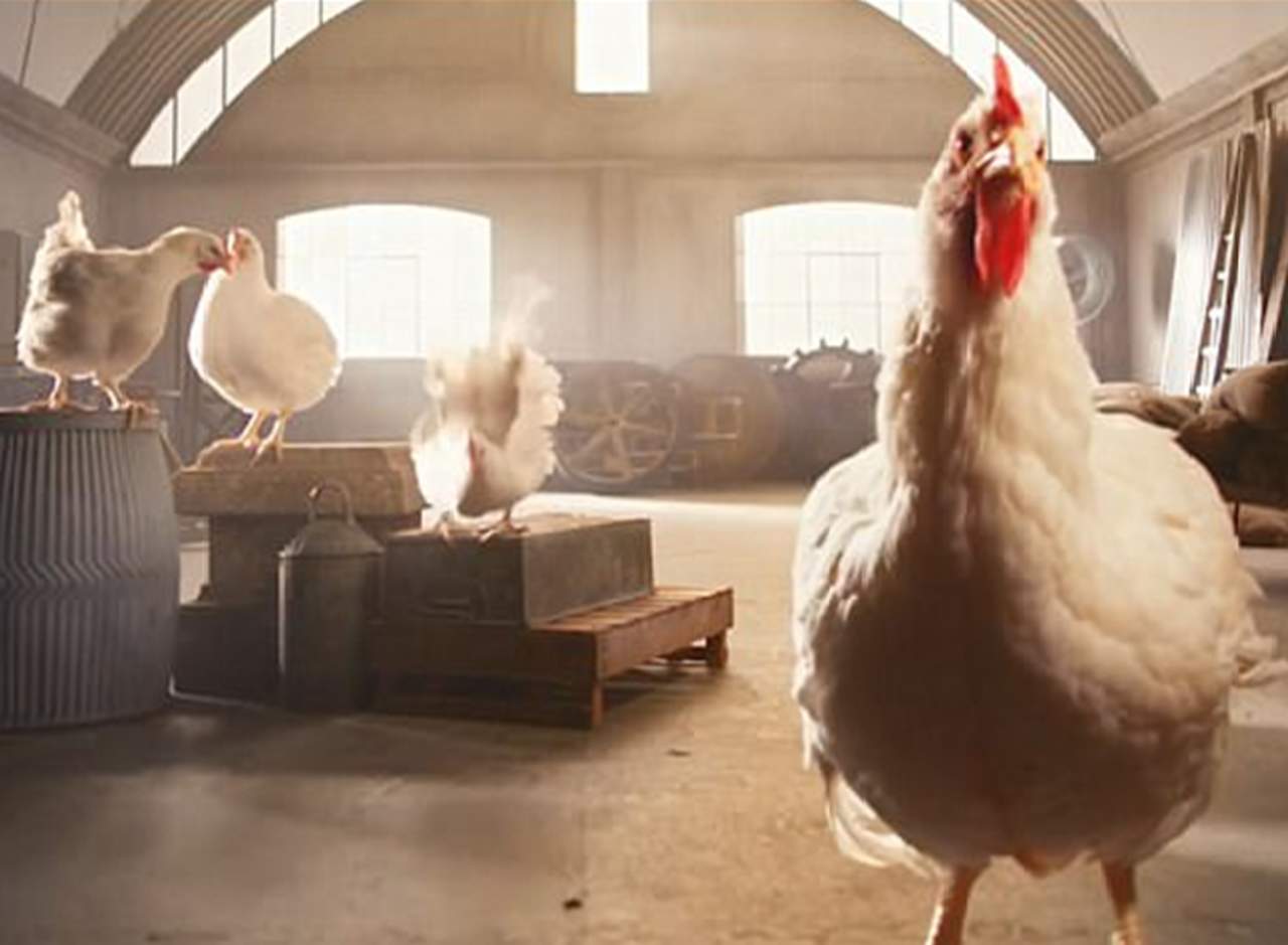 Реклама мерседес с курицей. Креативная реклама курицы. Реклама курочки. Реклама курицы. Огромный цыпленок.