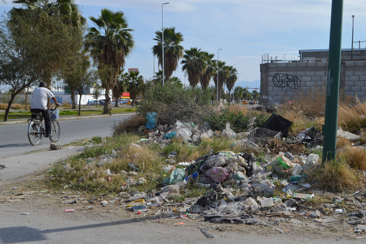 Problemas de salud. Vecinos de la colonia Valle del Nazas afirman que en los terrenos abandonados del sector se crean 'focos' de infección por la concentración de basura doméstica. (ROBERTO ITURRIAGA)
