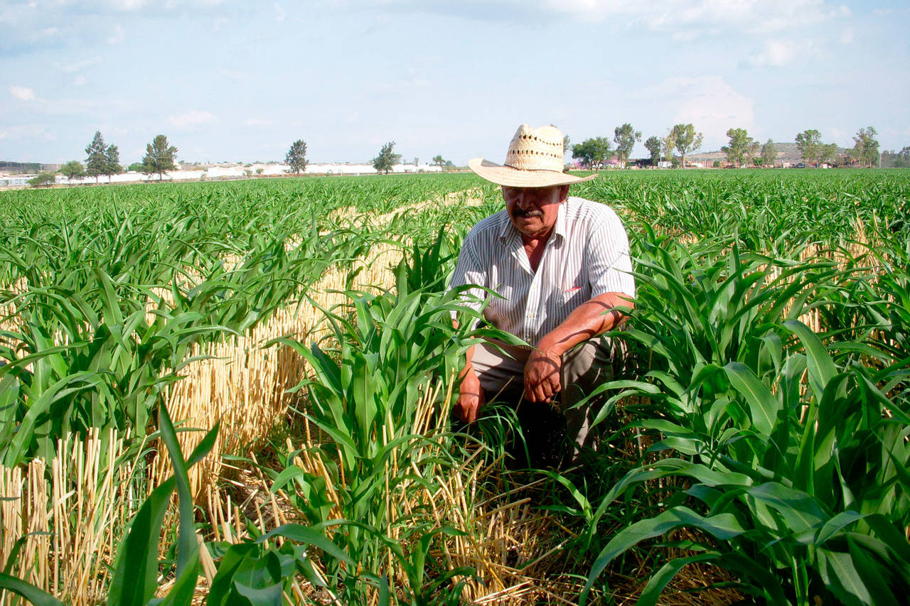 Exportaciones. De acuerdo a datos de la Sagarpa se tuvo un incremento del 12 por ciento en la exportación de agroalimentos. (ARCHIVO)