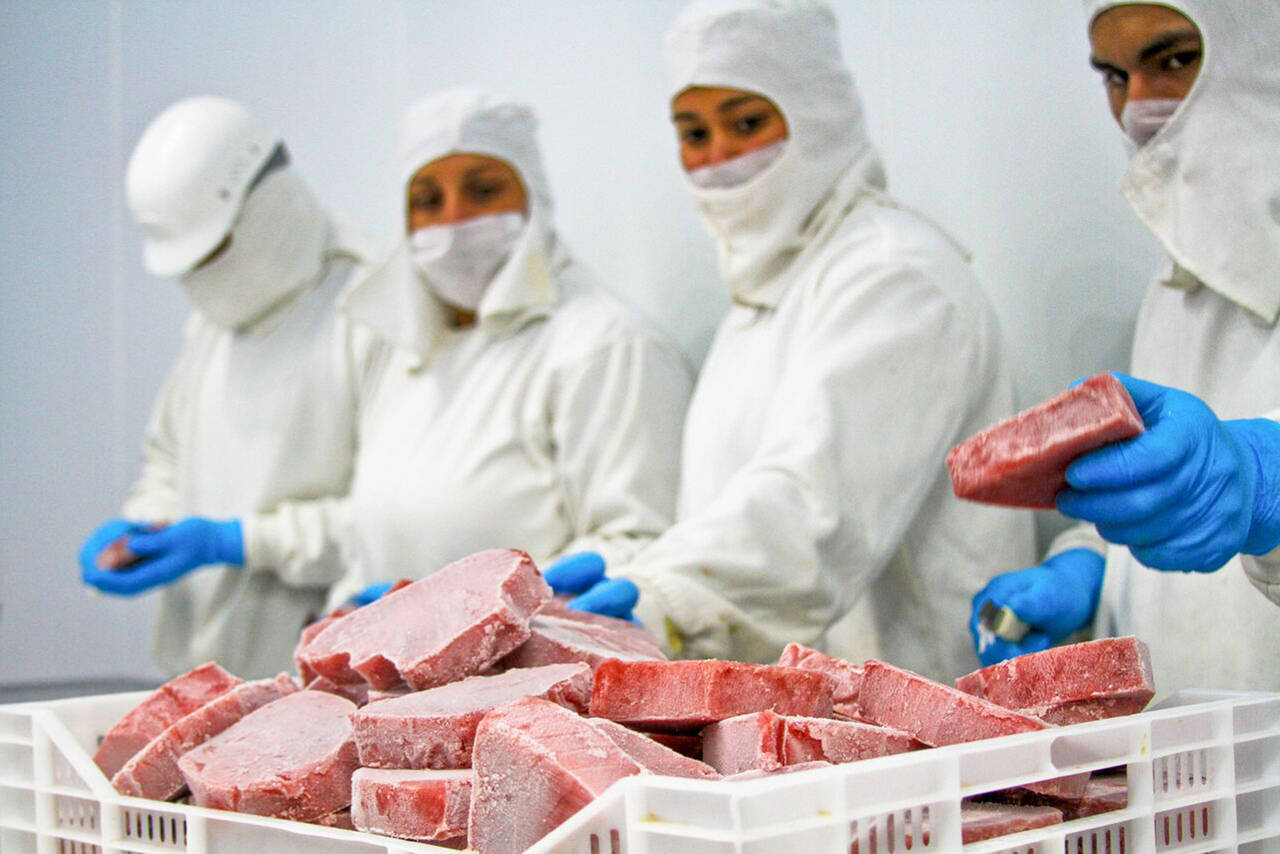 Carne. Exhortan a productores de carne a inscribirse en programa que garantiza la calidad a través de Sagarpa y Senasica. (EL SIGLO DE TORREÓN)