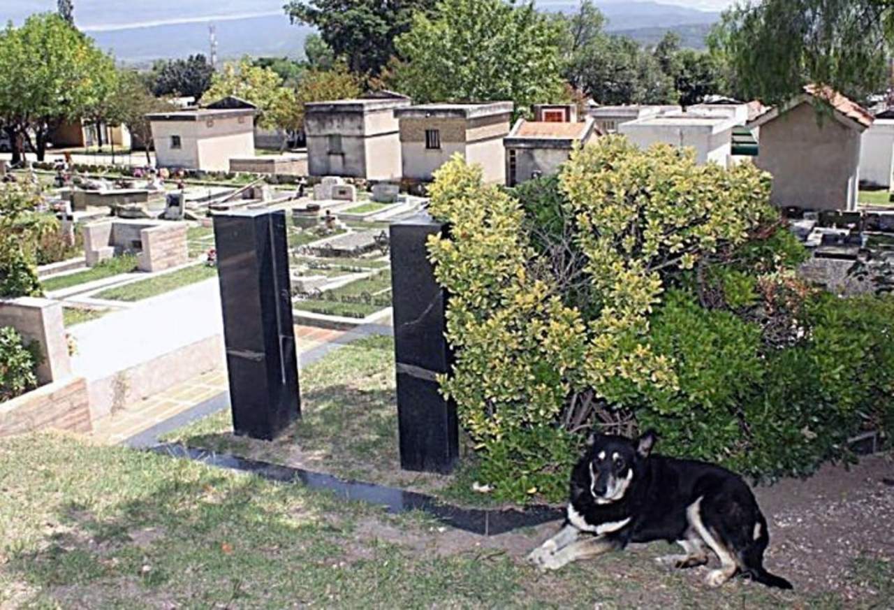 Muere el perro que veló por  10 años a su amo en Argentina