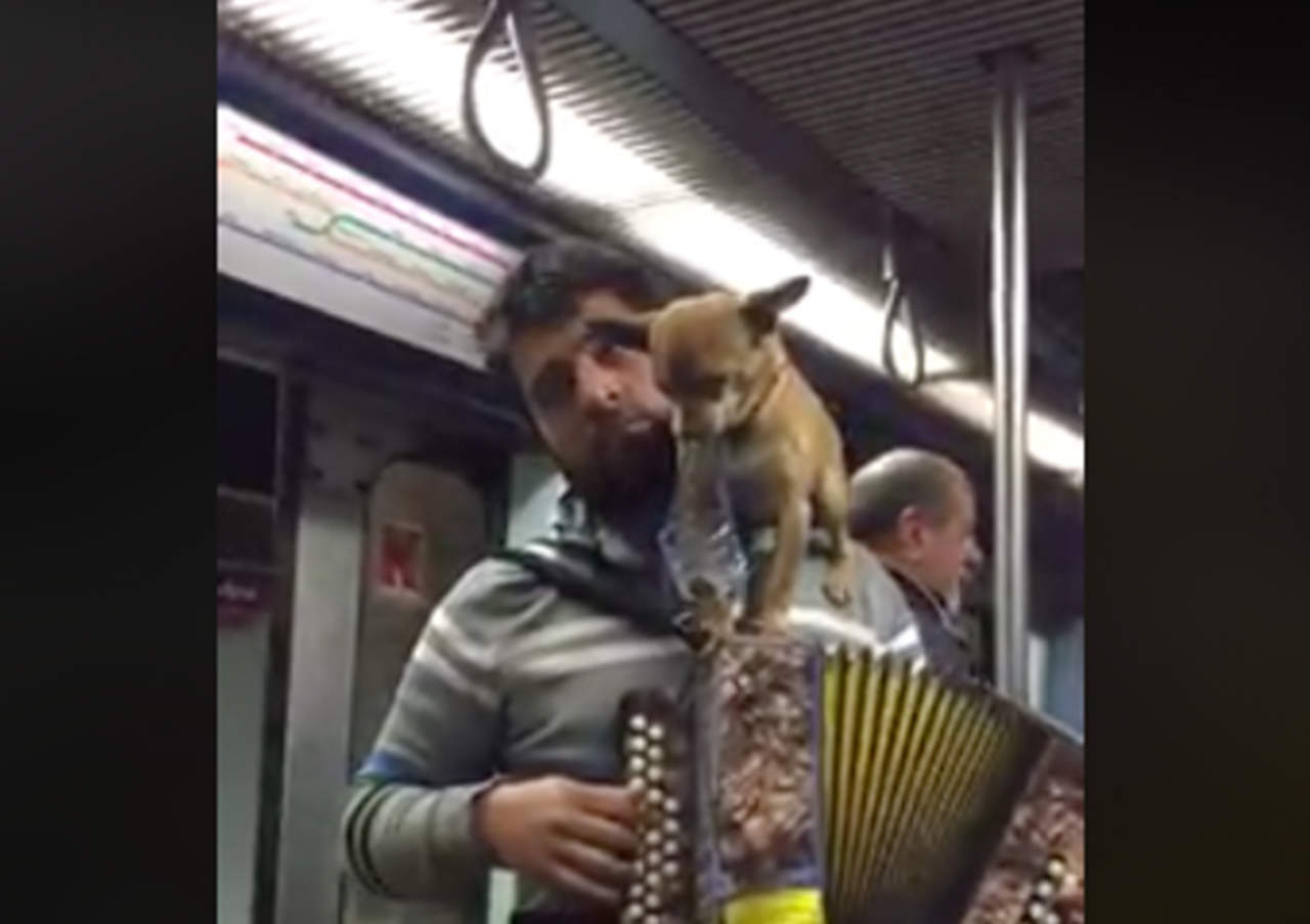 Toca el acordeón con su mascota y se hace viral