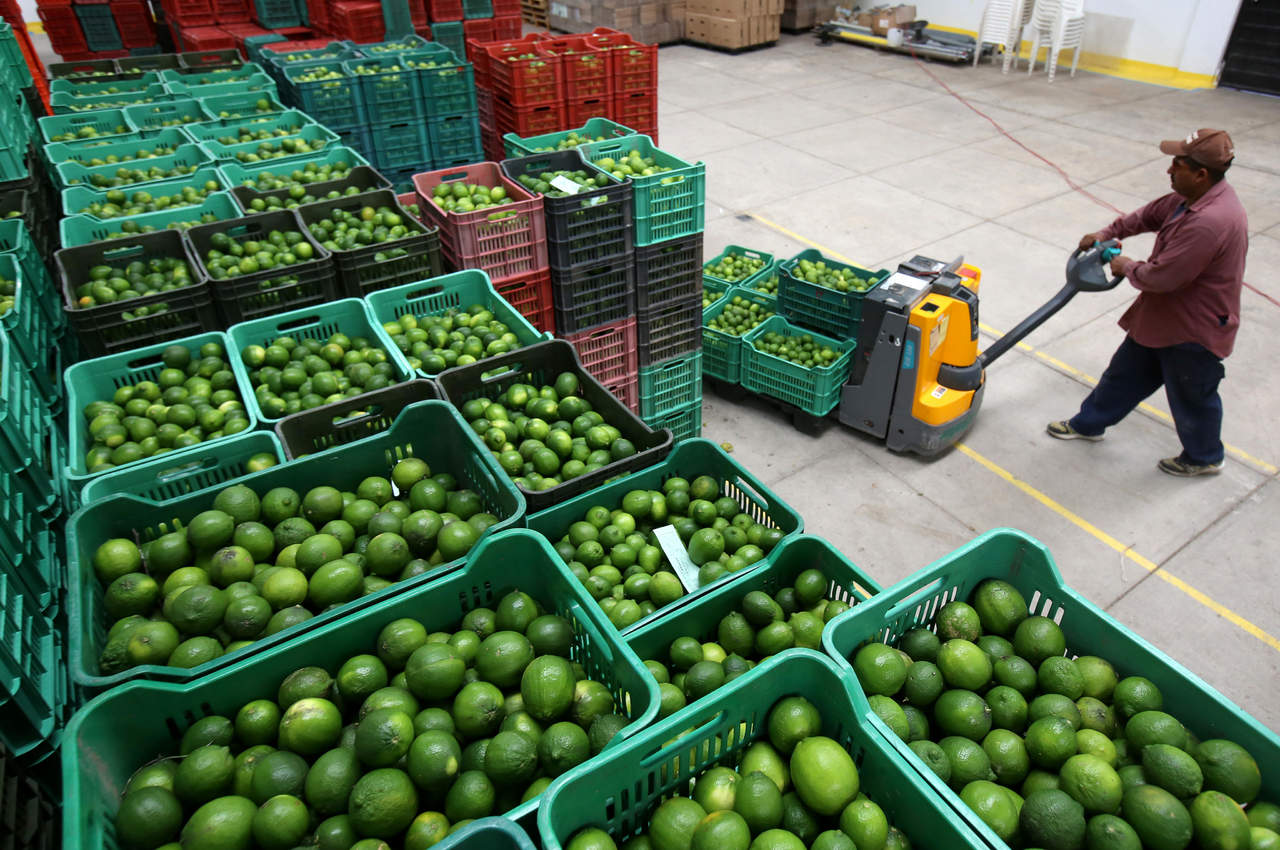 En mercados del país, el limón fue uno de los productos básicos que subió en su precio hasta 20 pesos; mientras que los otros alimentos mostraron variaciones mixtas en la semana del 19 al 23 de febrero. (ARCHIVO)