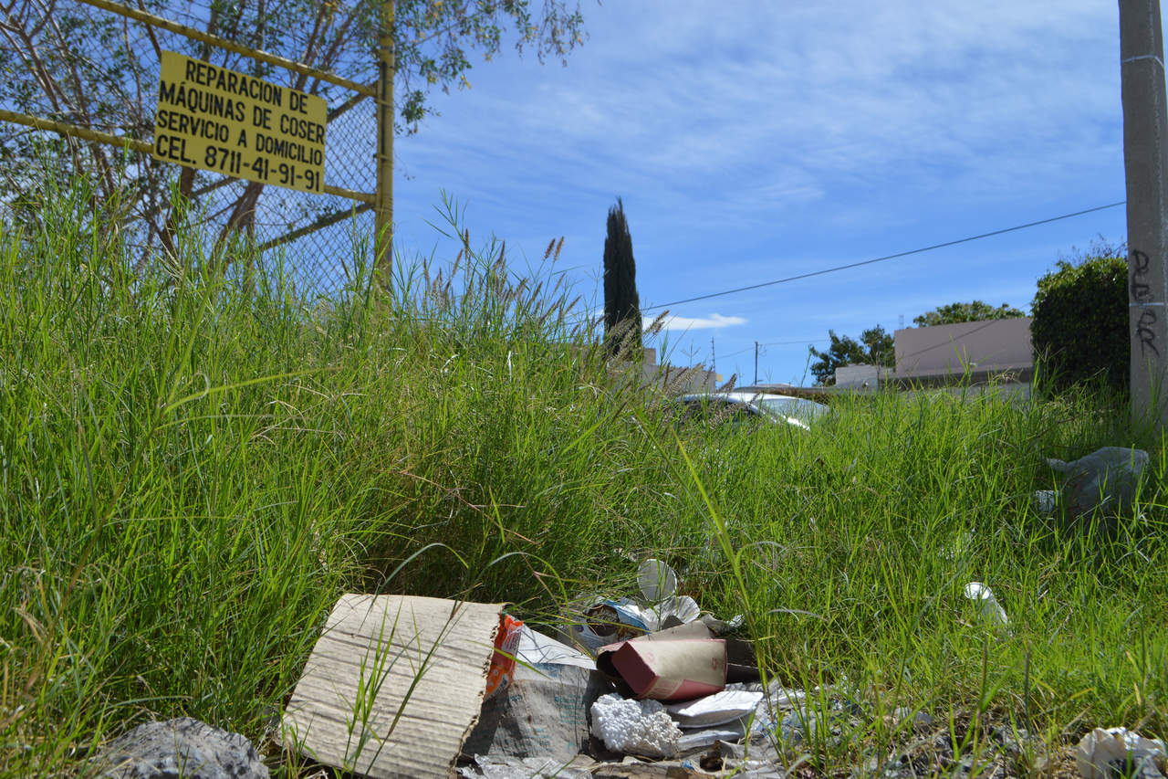 Sin responsabilidad. Al ver las hierbas crecidas en terrenos de las avenidas Juárez e Hidalgo, ciudadanos deciden dejar su basura en esos puntos hasta que queden 'inaccesibles'.
