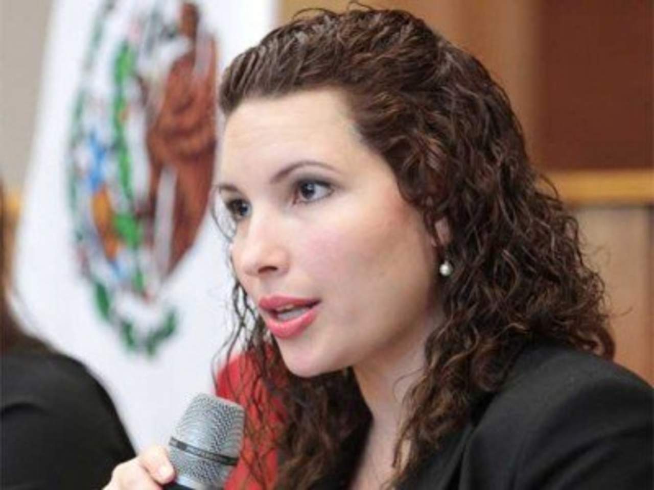 La comisionada para la implementación del NSJP en la entidad, Leticia Decanini Salinas, señaló que se calendarizan las actividades se desarrollarán en los 38 municipios de esta entidad. (ARCHIVO9
