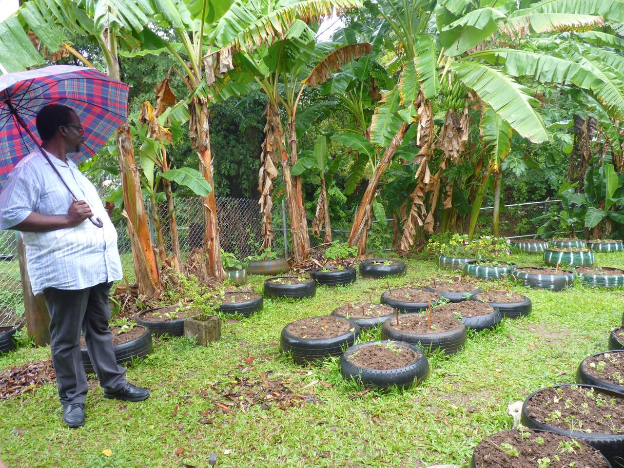 El Gobierno de México y la Organización de la ONU para la Alimentación y la Agricultura (FAO) suscribieron hoy en Jamaica un acuerdo para ayudar a los países caribeños a hacer su agricultura más resiliente al cambio climático. (ARCHIVO)