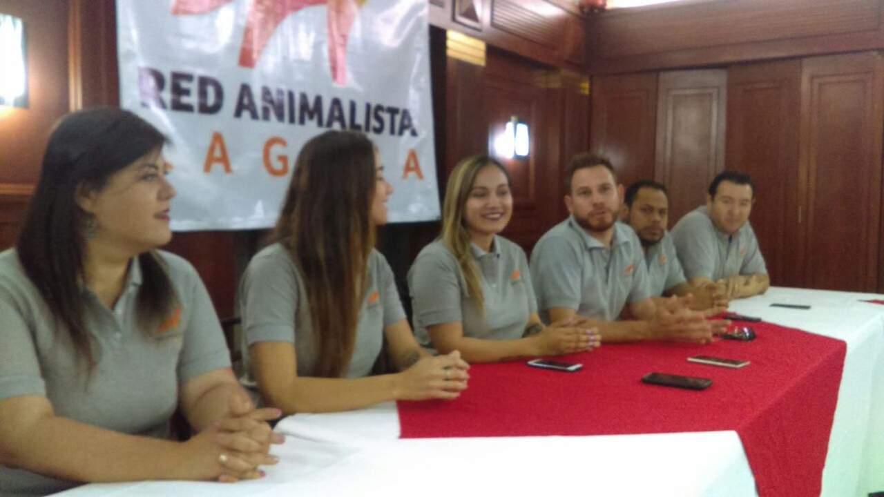 Asociaciones crean Red Animalista Laguna