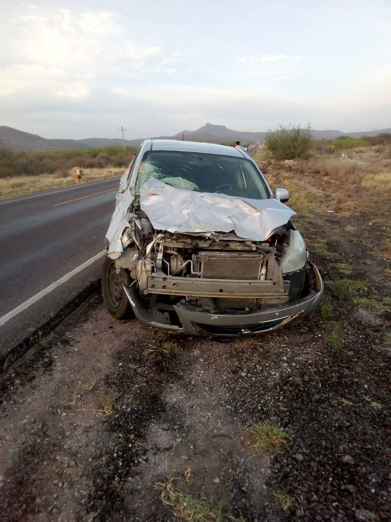 Accidente. Vehículo impacta a vaca en la carretera libre Gómez Palacio - Durango. (EL SIGLO DE TORREÓN)