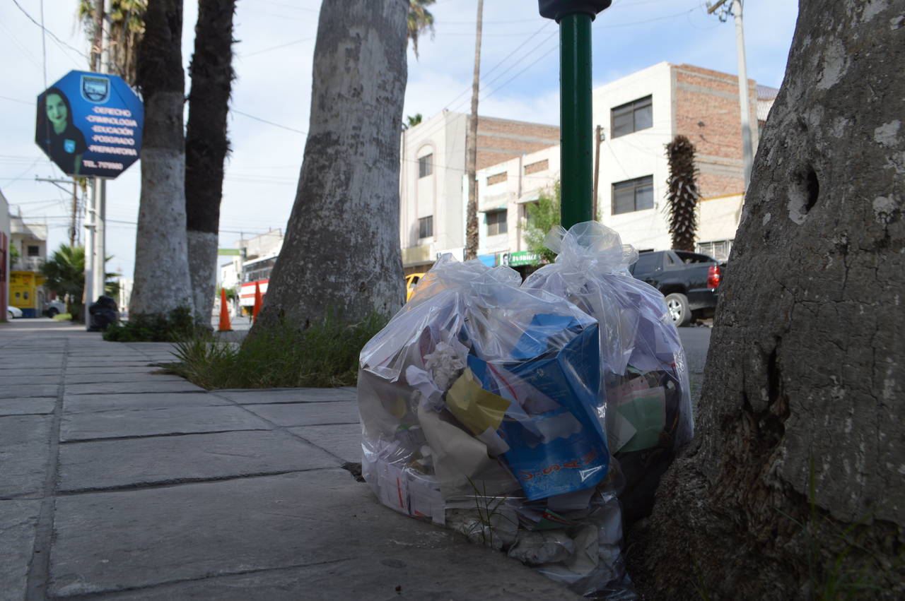Necesidad. Los negocios de la calle Acuña dejan bolsas con basura junto a los árboles y palmas de la vialidad, no son pocas las veces que los animales callejeros las destruyen en busca de alimento. (ROBERTO ITURRIAGA)
