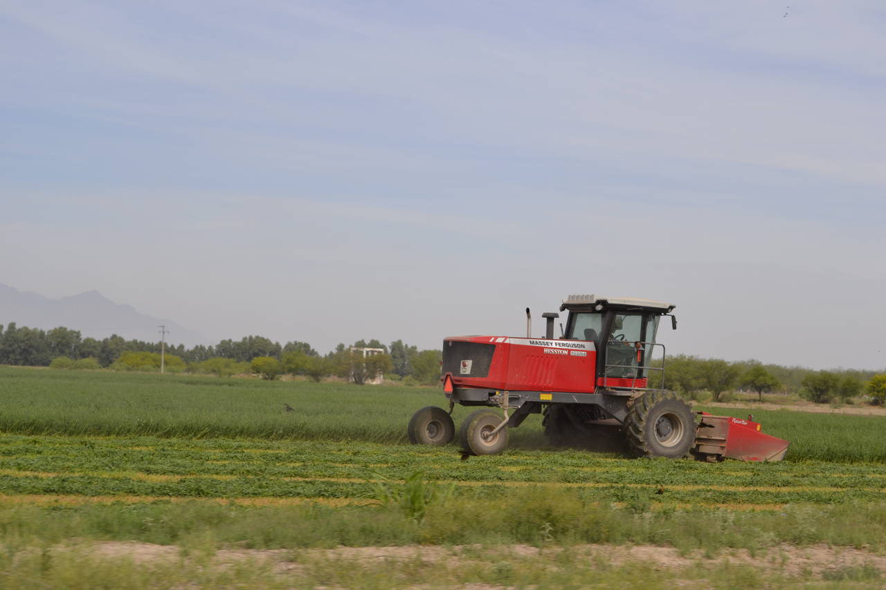 Apoyo. Productores pueden comenzar a solicitar apoyos para el campo en los diferentes componentes de la SAGDR. (EL SIGLO DE TORREÓN)