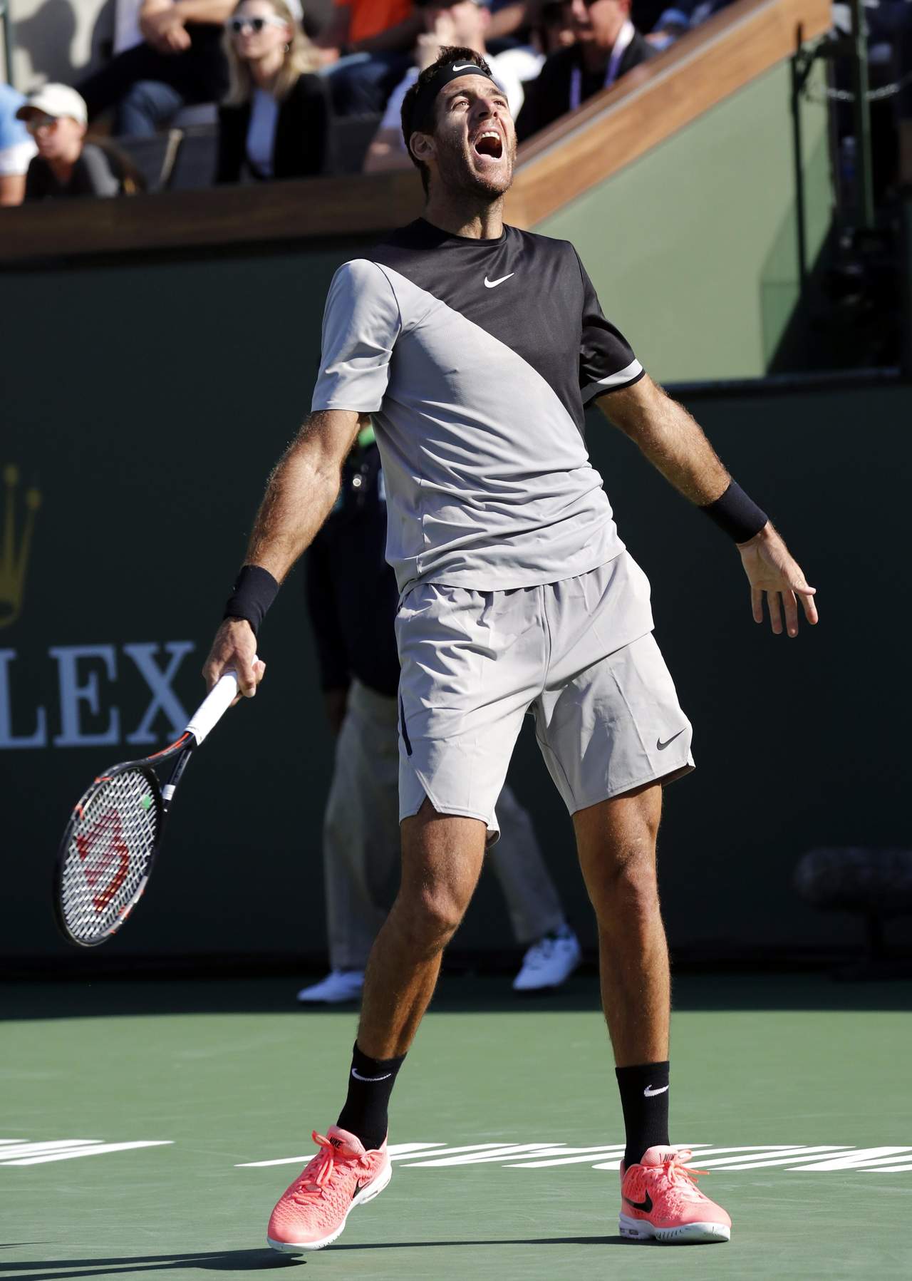 El tenista argentino Juan Martín del Potro se coronó en el torneo de Indian Wells al superar al suizo Roger Federer. (AP)