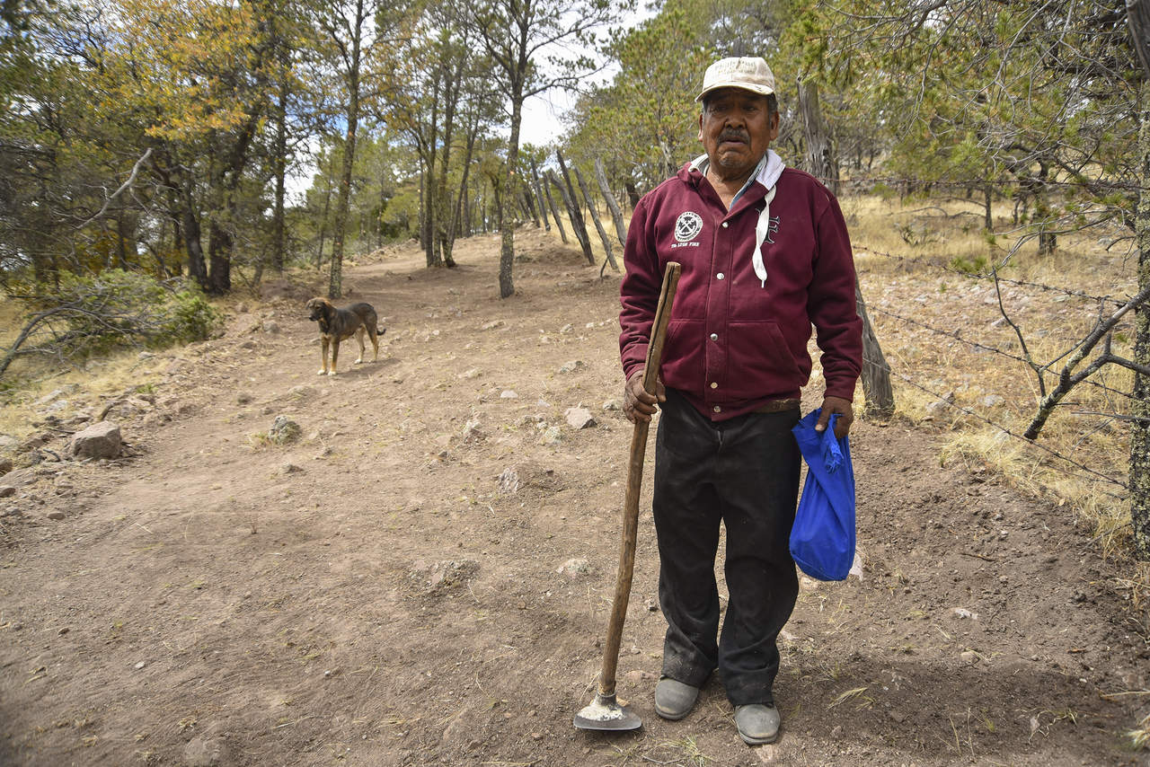 Labor. Don Eusebio tiene 70 años y gracias al trabajo que realiza en la cuenca alta del río Nazas es que han mejorado sus condiciones de vida. (ERNESTO RAMÍREZ)