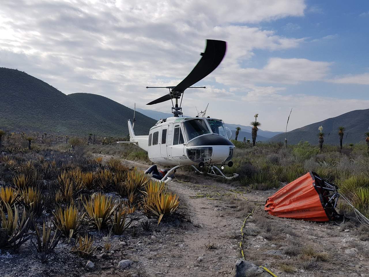  Un total de 613 hectáreas de matorral bajo fueron siniestradas por dos incendios forestales, iniciados desde el lunes pasado en el municipio de Aramberri, al sur de Nuevo León, informó la gerencia estatal de la Comisión Nacional Forestal (Conafor). (TWITTER)