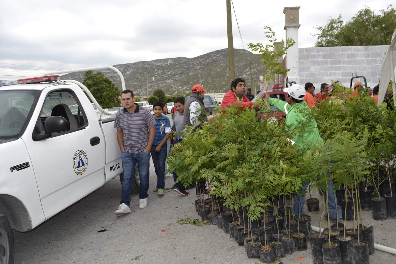 La meta del pasado 2017 fue de 15 mil especies plantadas y se llegó a un total de 15 mil 500, por lo que esperan que este año se pueda lograr también fácilmente la meta. (ARCHIVO)