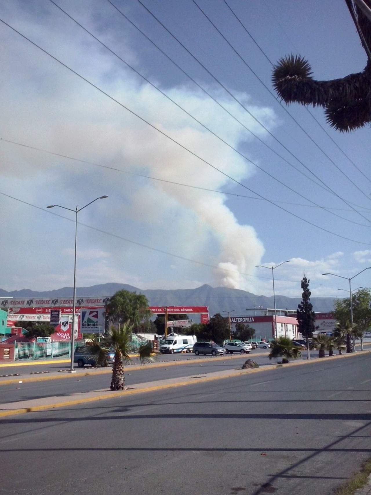 Se incendia predio en Sierra Zapalinamé