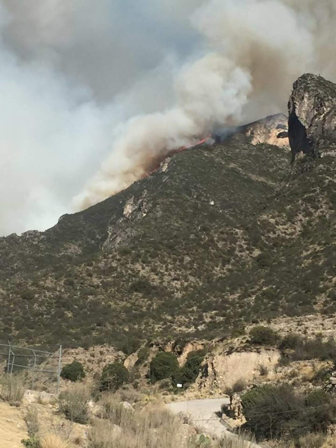 Se estimó una afectación a una superficie de 400 hectáreas y se cuenta con indicios de que fue causado por excursionistas que estaban en la zona. (ESPECIAL) 