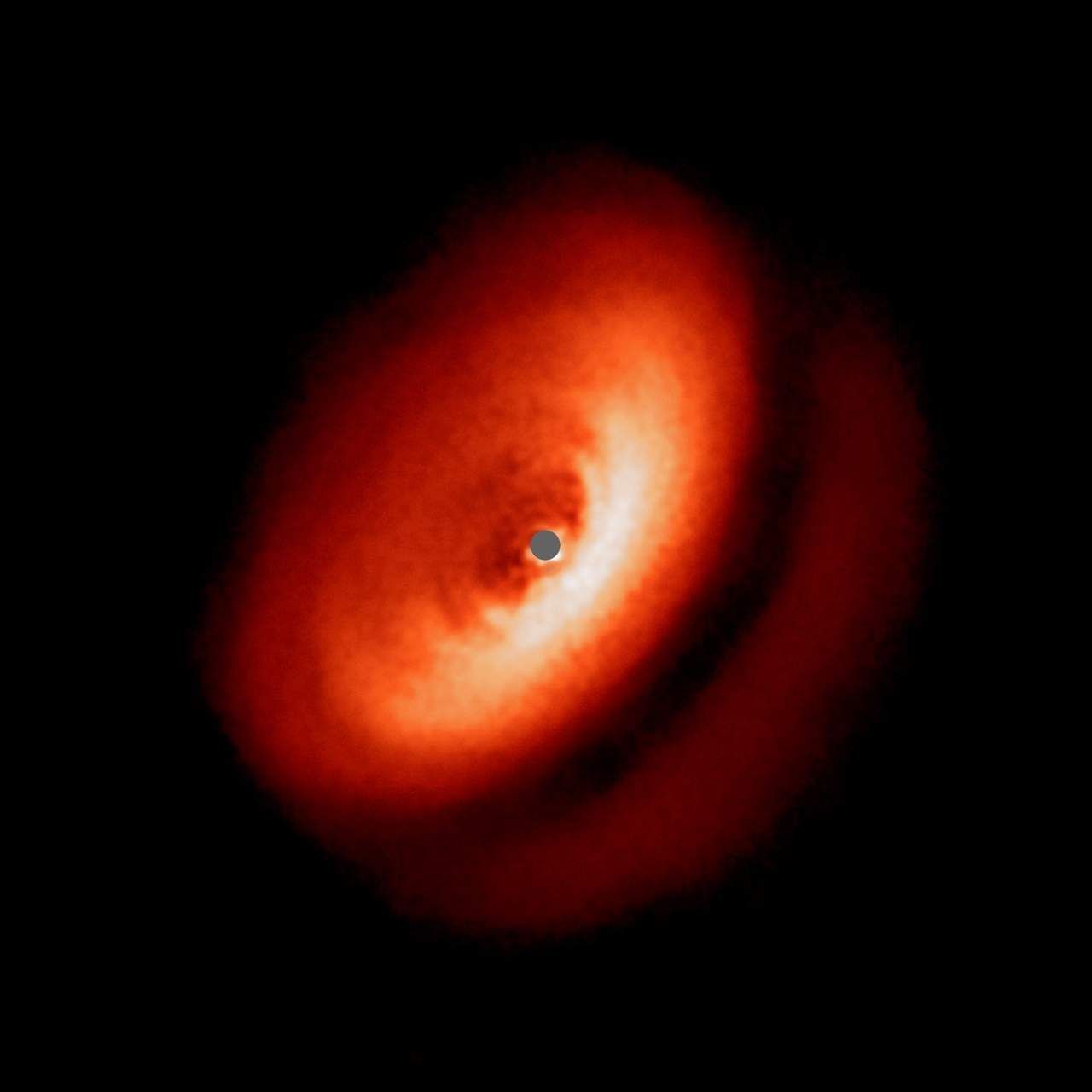 Los discos fotografiados por el telescopio contienen 'gas, polvo y planetesimales', elementos que constituyen 'los cimientos de los planetas y los progenitores de los sistemas planetarios'. (EFE)