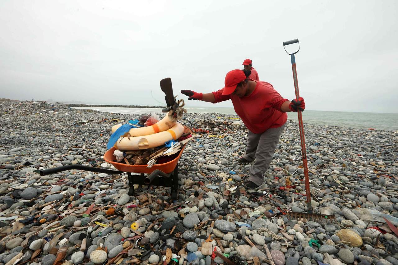 El trabajo, de un equipo español y austríaco, ha estudiado cómo afectan los residuos plásticos vertidos en el mar a los niveles más bajos de la cadena trófica, las bacterias. (ARCHIVO)