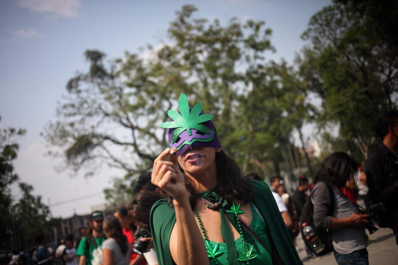 Hoy 20 de abril, los consumidores celebran el 'Día de la Marihuana'. (ARCHIVO)