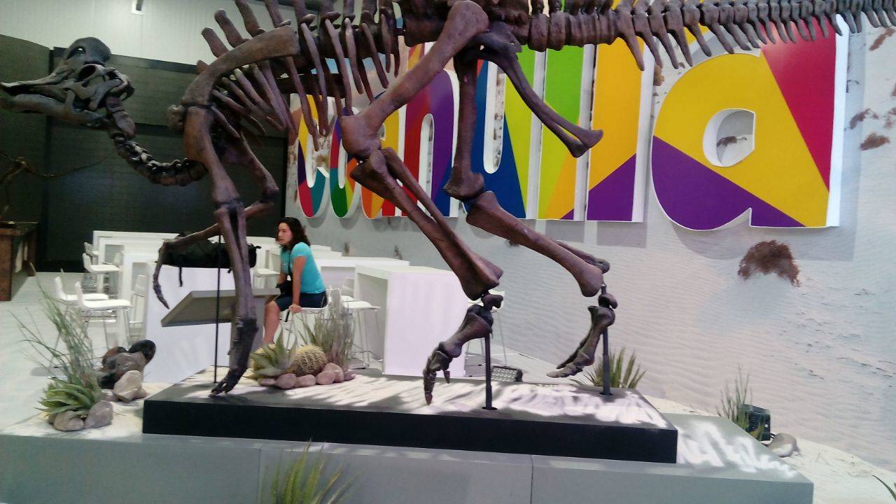 Esqueletos. Los esqueletos de los dinosaurios fueron el principal atractivo. (EL SIGLO DE TORREÓN/VIRGINIA HERNÁNDEZ)