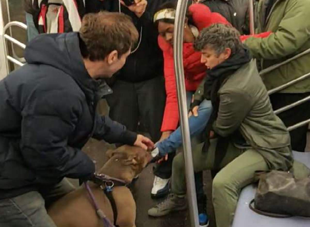 La afectada y el resto de los pasajeros estaban muy molestos con el dueño del perro. (INTERNET)