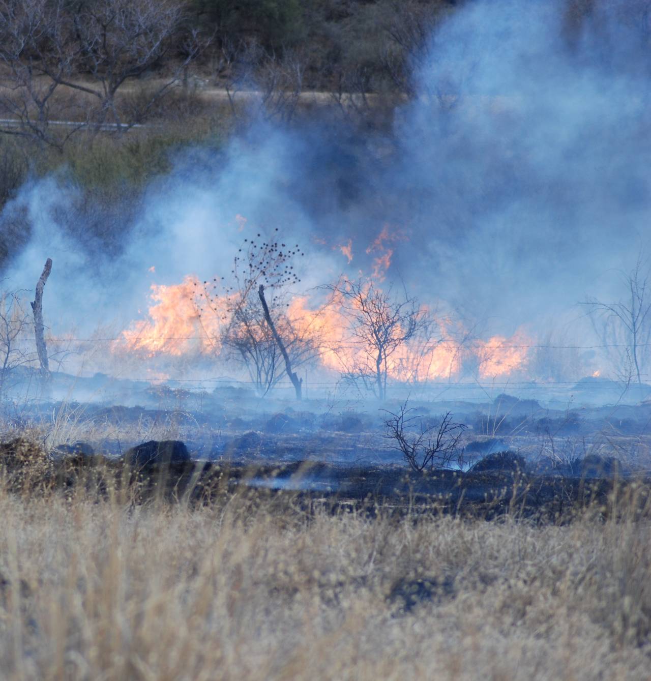 Daño. Son seis mil 808 hectáreas afectadas por el fuego en esta entidad, causadas por los efectos de 77 incendios forestales. (EL SIGLO DE TORREÓN)