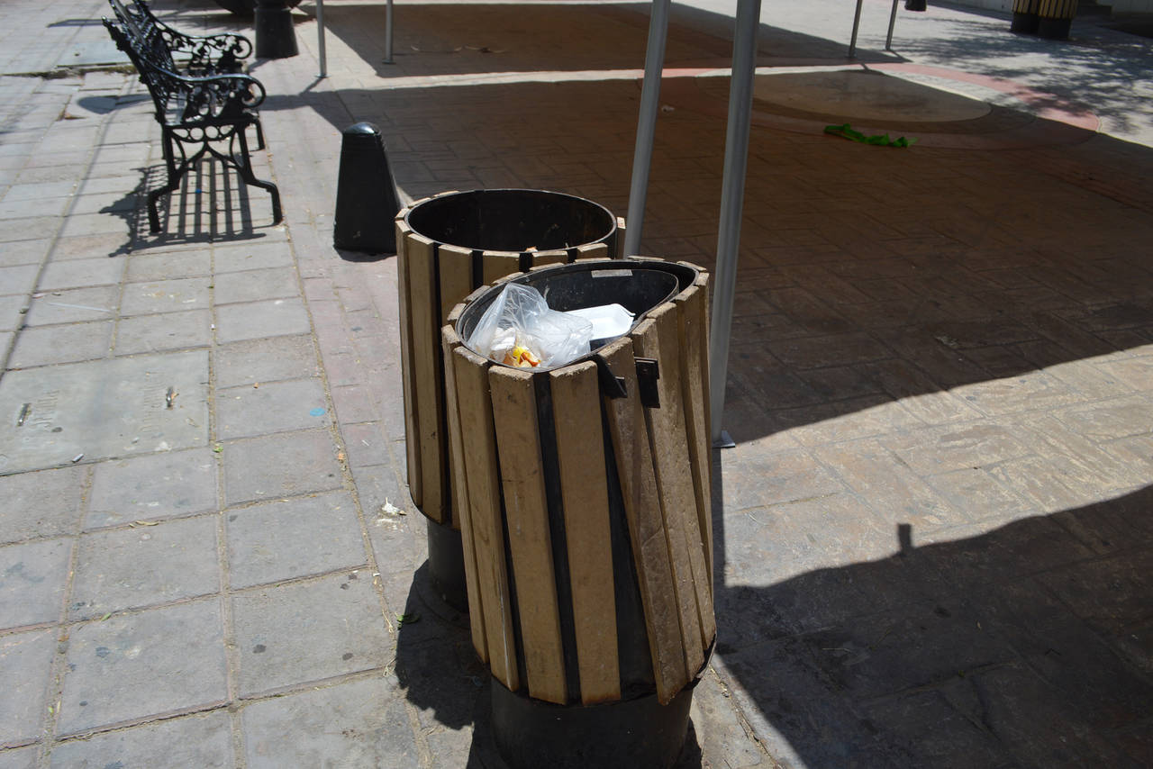 Evento. Debido al festival Lerdantino se encuentran recolectando basura en varios puntos. (ARCHIVO)