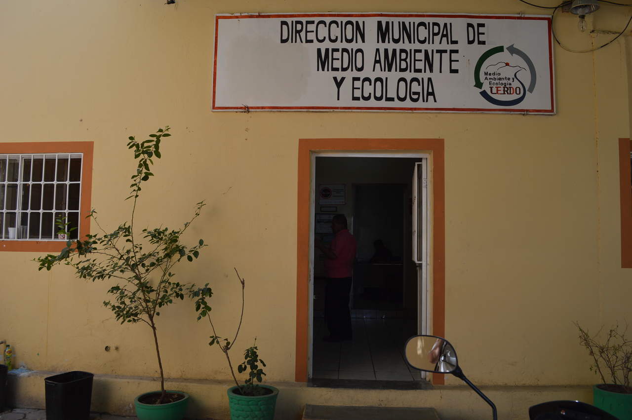 Las autoridades municipales dijeron que los interesados en adquirir árboles, deberán acudir a las instalaciones de la Dirección de Medio Ambiente y Ecología. (ARCHIVO)