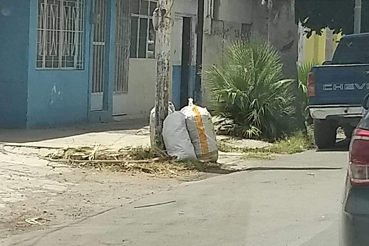 Piden recoger la basura