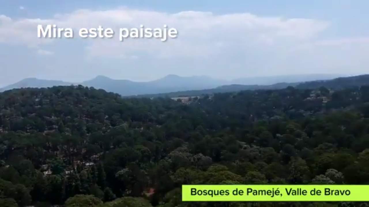 Los Bosques de Pamejé es considerada Zona Protectora Forestal desde 1941 y en 2003 se declaró 'Santuario del Agua Valle de Bravo'. (ESPECIAL/@@MXvsCORRUPCION)