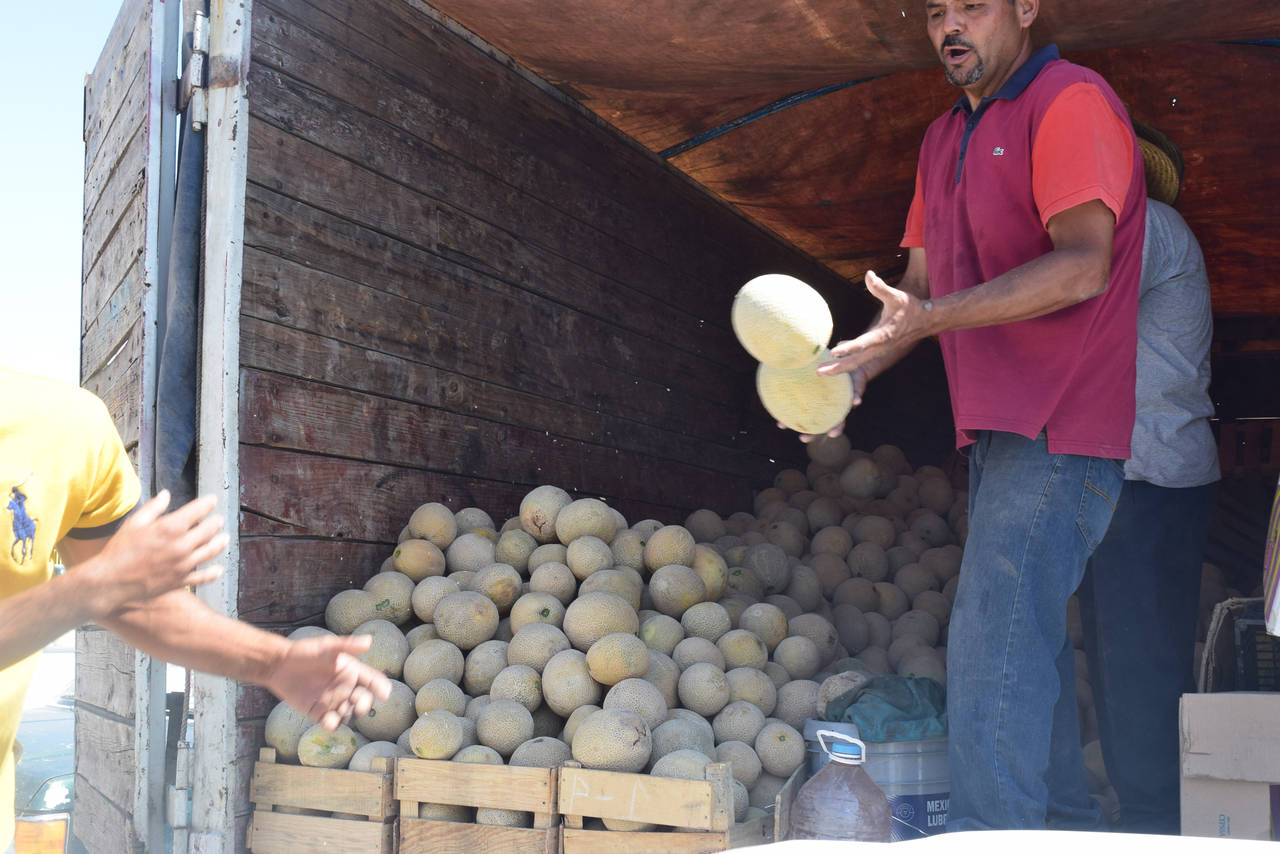 Dificultad. Ahora los productores están batallando porque se les juntó la producción de melón en Guerrero y los precios están bajos