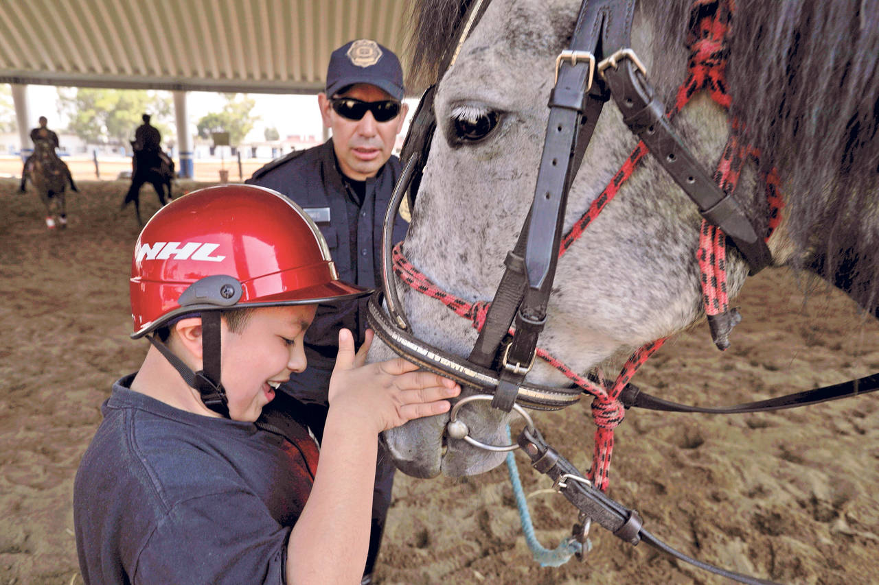 Salud. Personas con Síndrome de Down y autismo reciben terapia con caballos. (EL UNIVERSAL)