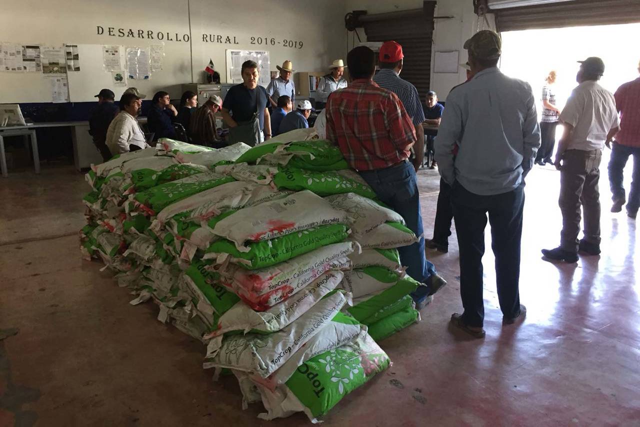 Apoyos. Productores agrícolas de Tlahualilo reciben producto subsidiado para sembrar alfalfa. (EL SIGLO DE TORREÓN)
