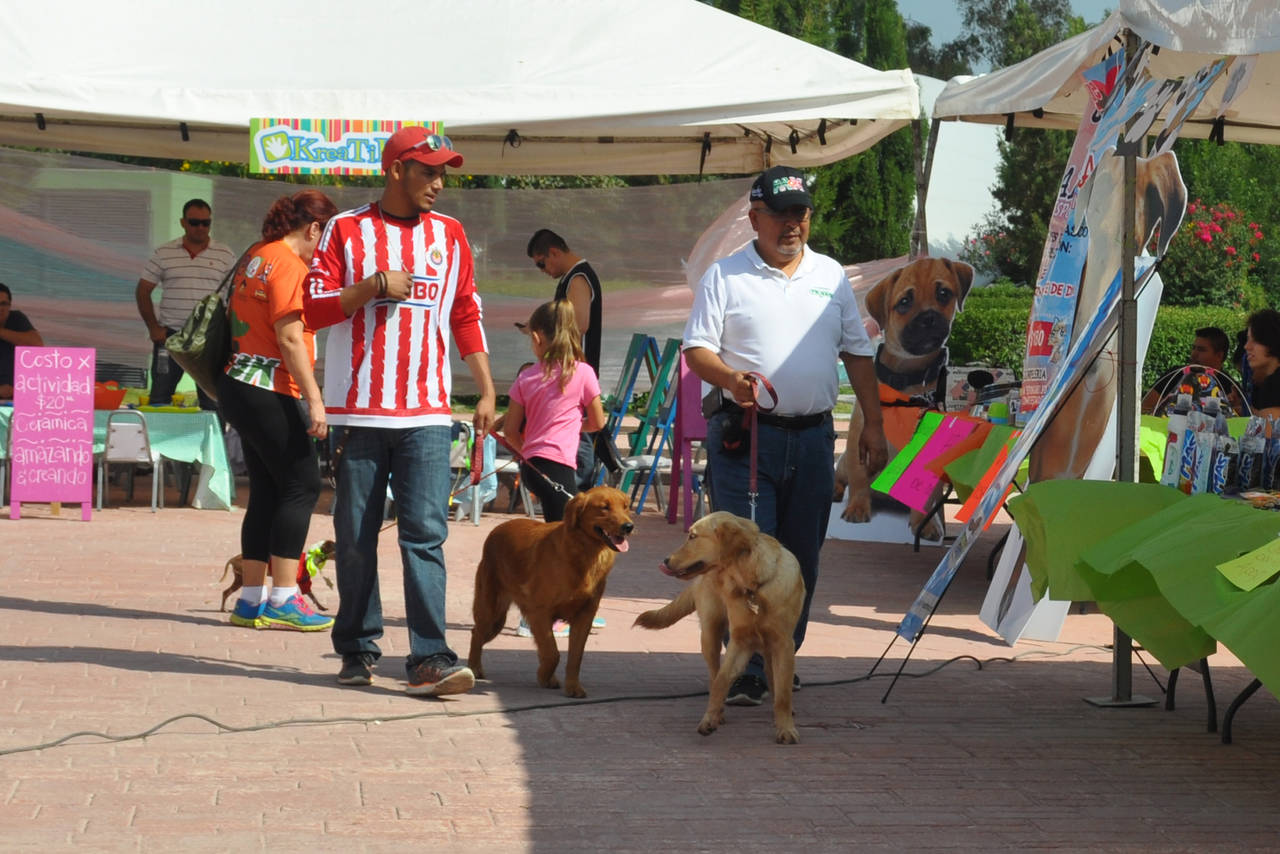 Prevención. Director de Centro Antirrábico en Torreón invita a extremar cuidados con mascotas durante esta temporada. (ARCHIVO)