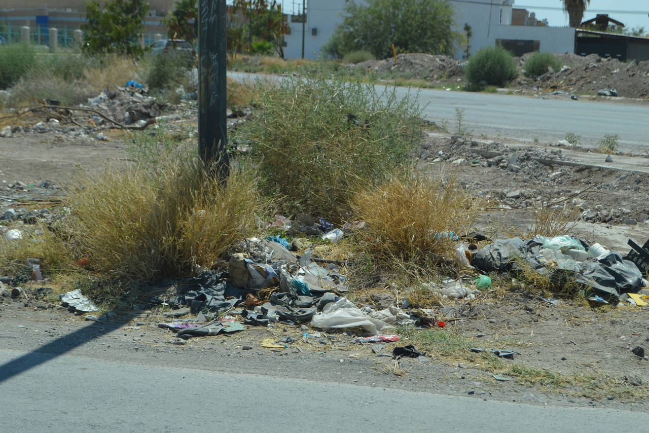 Suciedad. En plena vía pública se dejan bolsas con basura doméstica, además de animales muertos y ramas secas. (EL SIGLO DE TORREÓN)